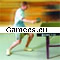 Table Tennis SWF Game